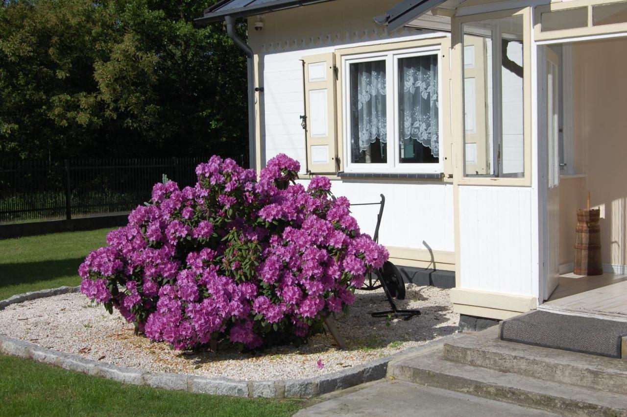 Wypoczynek Letnia Oaza Villa Sobienie Jeziory Exterior photo